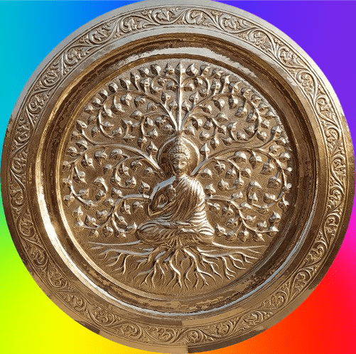 untitled 1 coy removebg preview